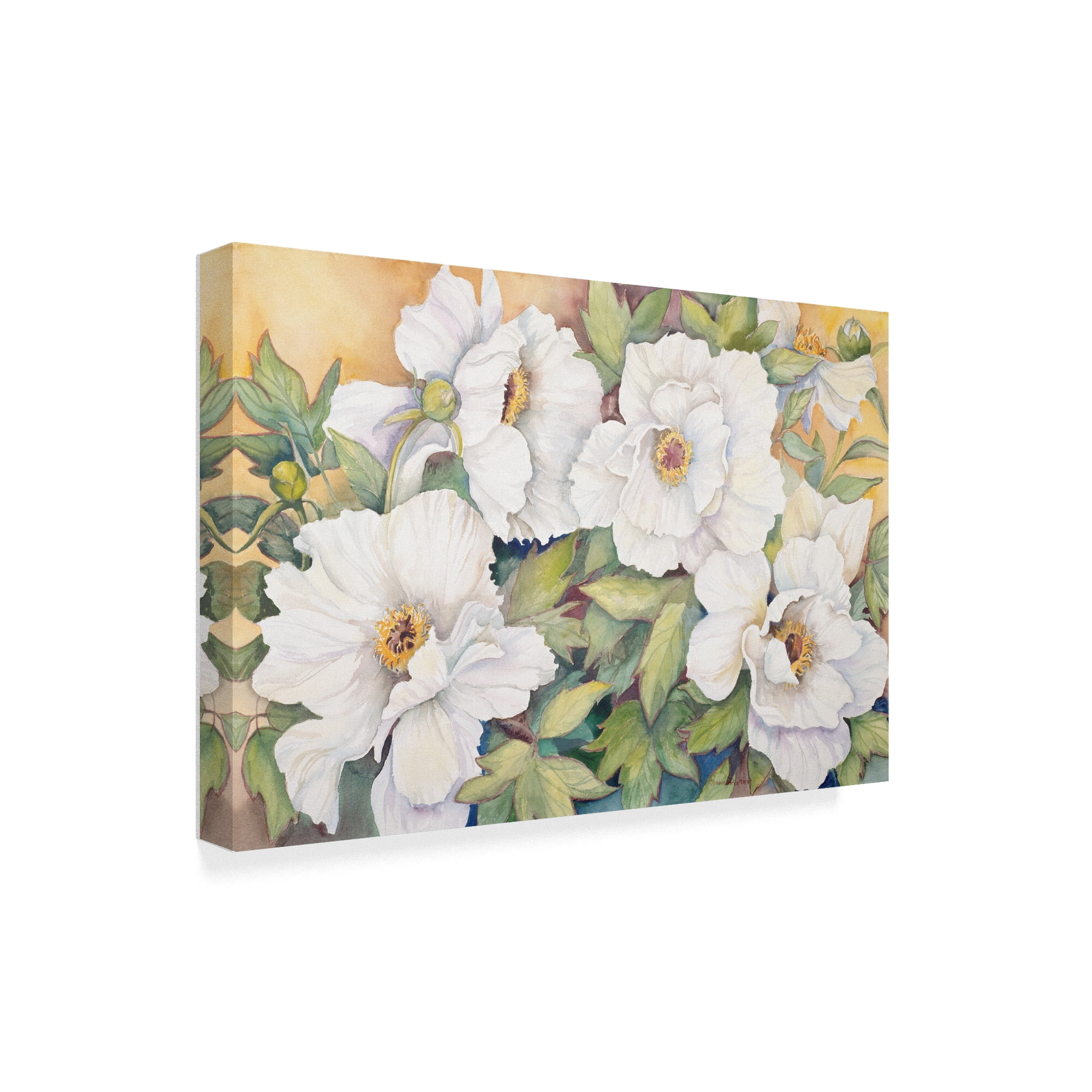 Trademark Fine Art 'Peonies Dressed In White' Canvas Art by Joanne Porter