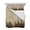 Brown, variant on Brown Forest Queen Size Down Alternative Comforter, Lightweight Comforter Quilt Bedding Set with Pillow Shams Vintage Tree Farmhouse Botanical All Seasons Bed Comforter Duvet Insert 90"x96"
