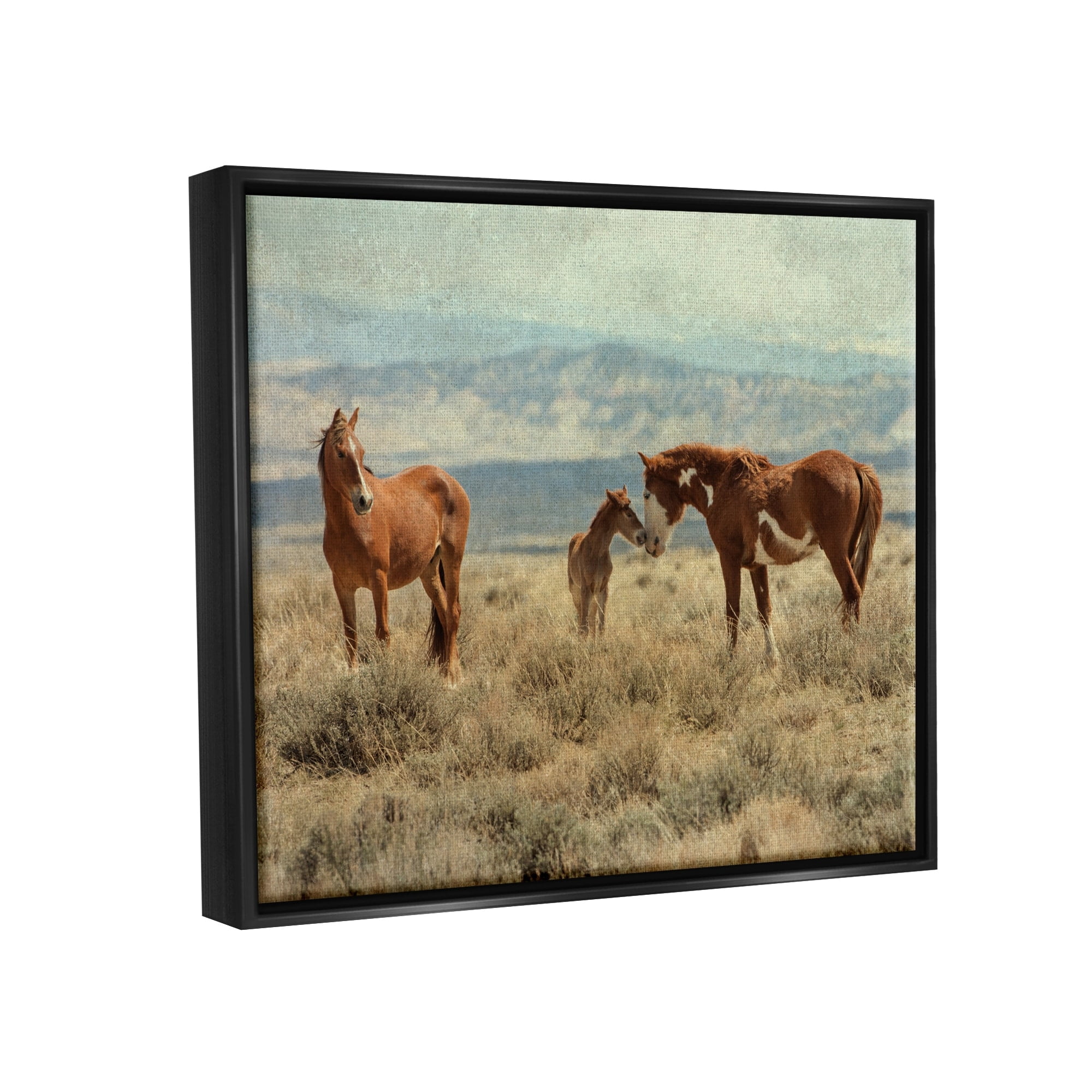 Stupell Industries Heartening Horse Foal Family Scenic Mountain Clouds Photograph Jet Black Floating Framed Canvas Print Wall Art, Design by Jan Walters