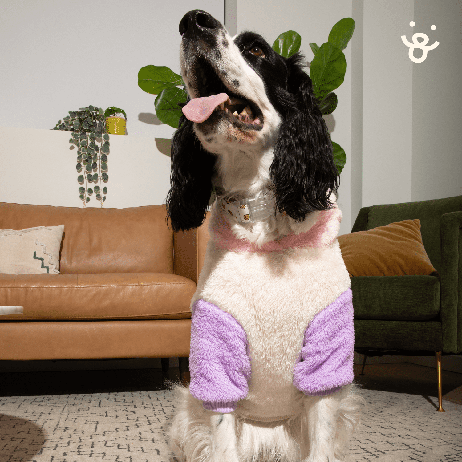Oodles Fall Multi-Colored Side Kick Bubble Hem Sherpa Dog Hoodie, Large