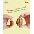 Premium 36+ King Size Chile Dried Walnut In Shell By Toller 500gm