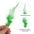 thumbnail image 3 of Uxcell 2.8''-5.5'' Saddle Hackle Rooster Feather Bulk Natural Feathers Fluffy Craft Feathers 100 Pcs Grass Green, 3 of 6