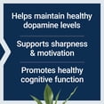 thumbnail image 5 of Life Extension Dopamine Advantage - Phellodendron Bark Supplement with Vitamin B12 - for Youthful Dopamine Levels and Brain Health - Gluten-Free, Non-GMO, Vegetarian - 30 Capsules, 5 of 10