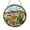 Acrylic 3.5 Inch, variant on Desert Lizard Stained Glass Suncatcher Window Hanging Decor, Round Lizard and Cactus Landscape Glass Art Panel, Decorative Desert Wildlife Scene Window Ornament for Home Decor