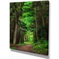 thumbnail image 2 of Dreamy Greenery in Dense Forest - Forest Canvas Art Print, 2 of 3