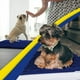 thumbnail image 4 of Muddy Mat® AS-SEEN-ON-TV Tapete para puerta y alfombra para mascotas de microfibra altamente absorbente, área lavable gruesa antideslizante y tapete de baño de chenilla suave para cocina, baño, dormit, 4 of 5
