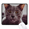 thumbnail image 1 of Animal Big Eye Gray Cat Photograph Mousepad Stitched Edge Mat Rubber Gang Pad, 1 of 2