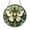 Acrylic 3.5 Inch, variant on Luna Moth Window Suncatcher with Stained Glass Effect, Decorative Insect Window Art Highlighting Wing Patterns and Natural Color Gradients