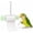 Green, variant on Bird Shredding Toy with Hanging Foraging Paper Roller & Metal Chain, Chewing Enrichment Cage Accessory for Cockatiel Conure Parakeet Medium Birds (Green)