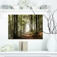 thumbnail image 1 of Forêt Verte d'Automne avec Rayons de Soleil - Impression sur Toile Photographie de Paysage, 1 of 3