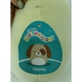 thumbnail image 5 of Squishmallows Harris the Tan Dog with Fluffy Ears and Belly 11" Stuffed Plush, 5 of 6