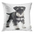 thumbnail image 1 of RYLABLUE Housse de Coussin Chiot Noir Miniature Schnauzer devant Chien Animal de Compagnie, 1 of 1