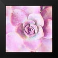 thumbnail image 2 of Bolick, Vicki Gladle 20x20 Black Modern Framed Museum Art Print Titled - Succulente VIII, 2 of 5