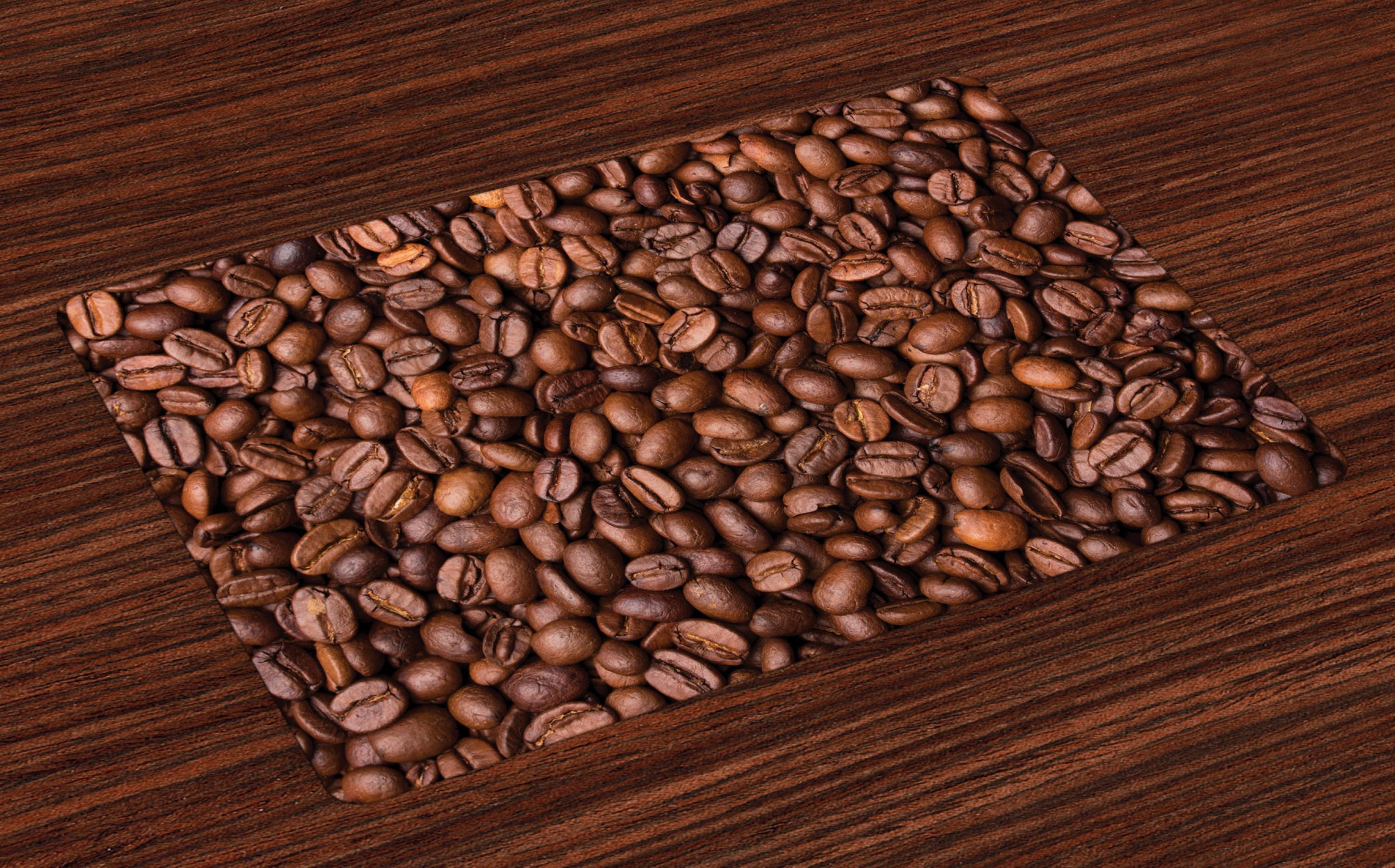 Chocolate Placemats Set of 4 Freshly Roasted Coffee Grains Aromatic