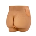 thumbnail image 1 of Human Hip Joint Intramuscular Simulator Anatomical Model, Buttocks Care Puncture, Medical, 1 of 5