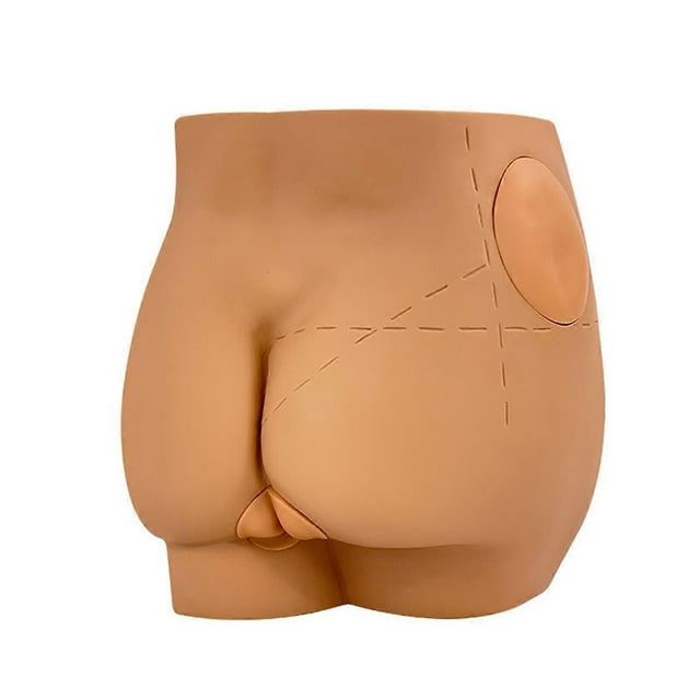 Human Hip Joint Intramuscular Simulator Anatomical Model, Buttocks Care Puncture, Medical