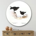 thumbnail image 2 of Designart 'Ancient Bird Of Europe III' Traditional Circle Metal Wall Art 29x29 - Disc of 29, 2 of 5