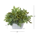 thumbnail image 2 of Nearly Natural 8898 13 in. Mixed Ficus & Fittonia Artificial Plant in Decorative Planter, 2 of 2