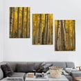 thumbnail image 4 of Nawypu  7 Trees For Fall In Colorado Aspen Trees In Colorado On A Beautiful Autumn Day Poster Canvas Print Wall Art Modern Room Living Room Bathroom Kitchen Bedroom Decor 12''x16''X3 Panels, 4 of 4