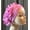 Baby Pink, variant on Fashionable turban 13 colors to choose from - Head wrap for women | Comfortable turban | Affordable women' s turbans | The Kueenly Turban