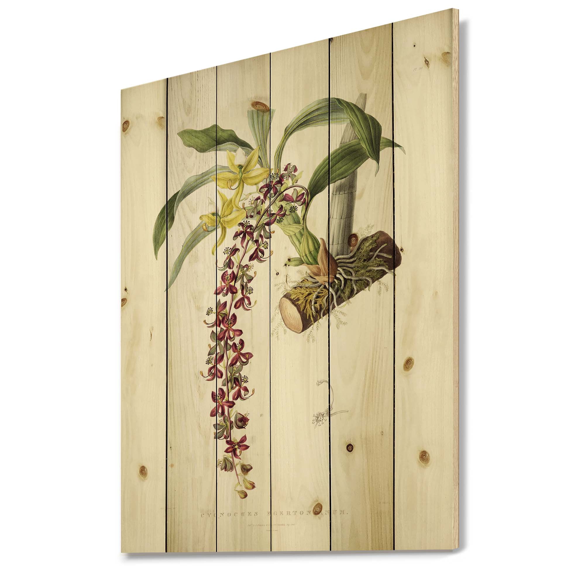 Designart 'Ancient Flower II' Traditional Print on Natural Pine Wood