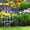 White, variant on Leodye Garden Border EdgingPlastic Decorative Border Lightweight Flexible Yard Landscaping Fence for Outdoor Lawn Flowerbed