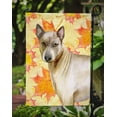 thumbnail image 3 of Carolines Treasures BB9941GF Thai Ridgeback Fall Flag - Garden Size, 3 of 3