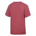 thumbnail image 3 of Men's ComfortWash Red Liberty Flames Dog T-Shirt, 3 of 3
