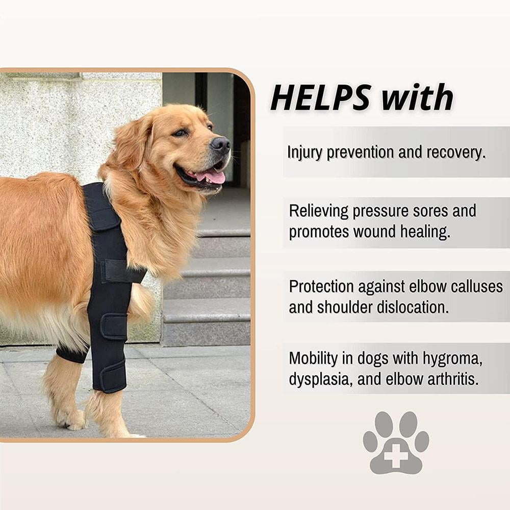 can dogs dislocate their shoulders