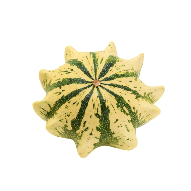 Price: €2.00 - Arabian cucumber Seeds (Cucumis dipsaceus
