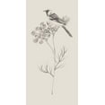 thumbnail image 2 of Wang, Melissa 11x18 White Modern Wood Framed Museum Art Print Titled - Nature with Bird IV, 2 of 4