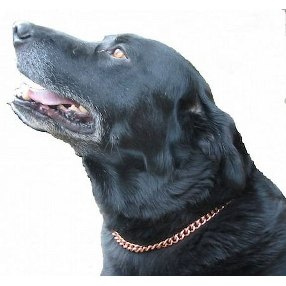 Copper Magnetic Therapy Dog Collars Made to measure in Solid Copper with Magnets (14 inches)