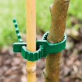 thumbnail image 3 of 2pcs 24cm Plant Supporter, Heavy Duty Soft Rubber Ties Adjustable Interlock Garden Tree Ties Flower Rose For Tree Plant Support Plants, 3 of 5