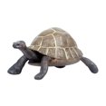 thumbnail image 1 of 1pc Plastic Simulated Tortoise Animal Model Desktop Adornment Ornament for Home Office, 1 of 8