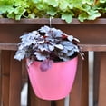 Selfwatering violet pots flower pots ceramic 8 inch Courtyard Graduation Season Vintage Metal