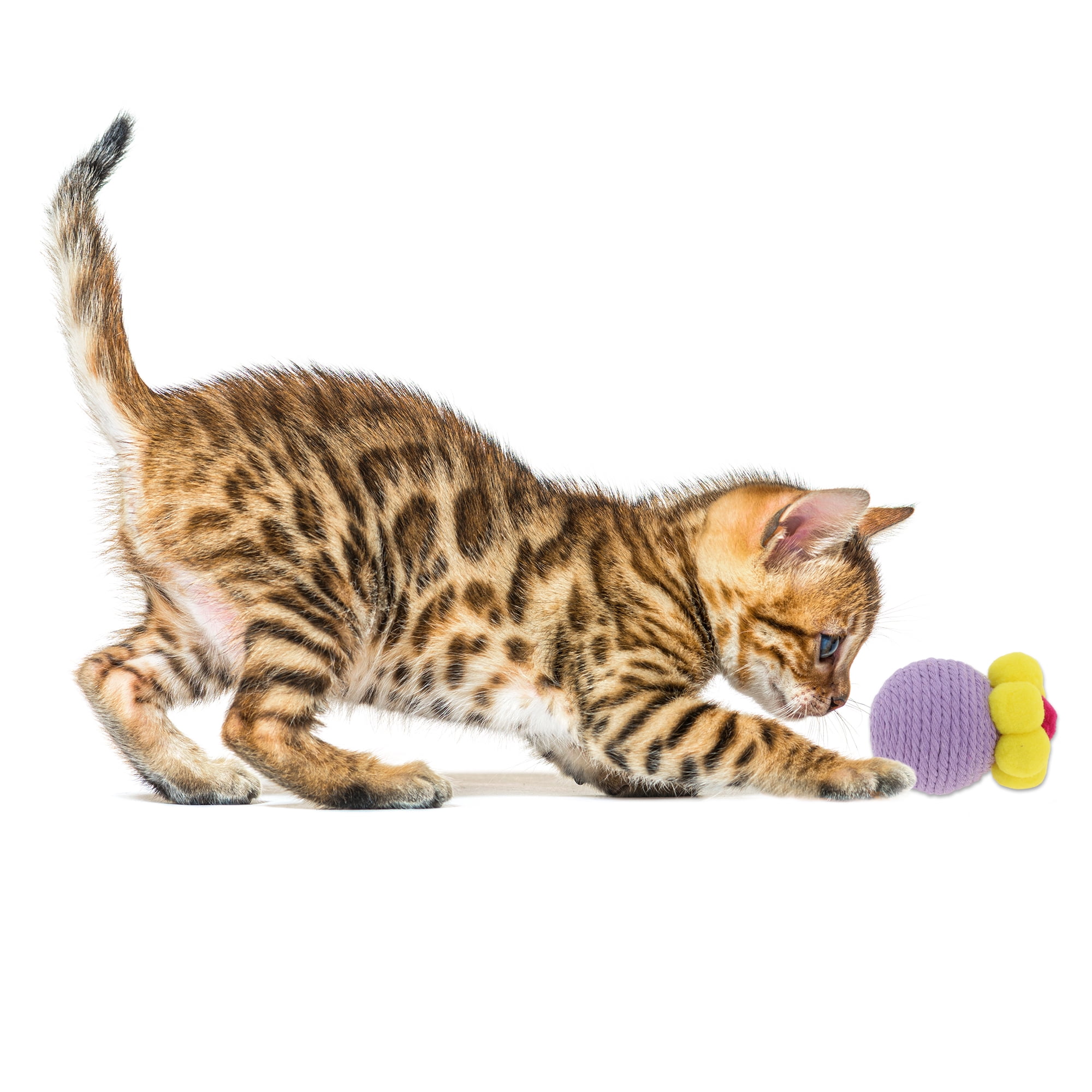 Unique Bargains Safe Teeth Cleaning Chew Balls Purple
