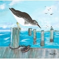thumbnail image 2 of Maria, Robin 12x12 White Modern Wood Framed Museum Art Print Titled - Sandpiper Pier, 2 of 4