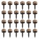 thumbnail image 1 of Copper Decorative Self Tapping Screws with Caps for Furniture and Fixture Enhancement – Durable, Elegant Mirror Fixing Fasteners, 24 pcs, 1 of 5