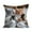 B, variant on Ohmyroo Whimsical Cat Print Throw Pillow Covers, 18-Inch Square Soft Pillowcases with Hidden Zipper, Playful Home Decor for Living Room and Bedroom