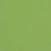 Sunbrella Canvas Ginkgo 54011-0000 Indoor/Outdoor Upholstery Fabric By The Yard