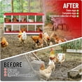 thumbnail image 4 of Historyli Nido metálico para gallinas, con 10 compartimentos, fácil de recoger, duradero, sin patas, color verde, 4 of 6