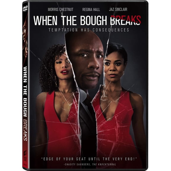 When the Bough Breaks [DVD]