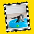 thumbnail image 5 of Fat Cat Crazy Circle Cat Toy For Solo or Interactive Play, Large 16.3" x 3.1", Blue, 5 of 10