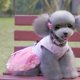 thumbnail image 5 of 1 pieza de ropa para perros y gatos, peluche, pomerania, abeja, oso, falda, vestido, suministros, 5 of 7