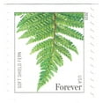 thumbnail image 2 of Ferns USPS Forever Postage Stamp 100 US First Class Fern Plants Wedding Celebration Anniversary Garden (100 Stamps), 2 of 5