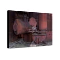 thumbnail image 1 of Canvas Print: Sloss Furnace, Birmingham, Alabama, 2010, 1 of 3