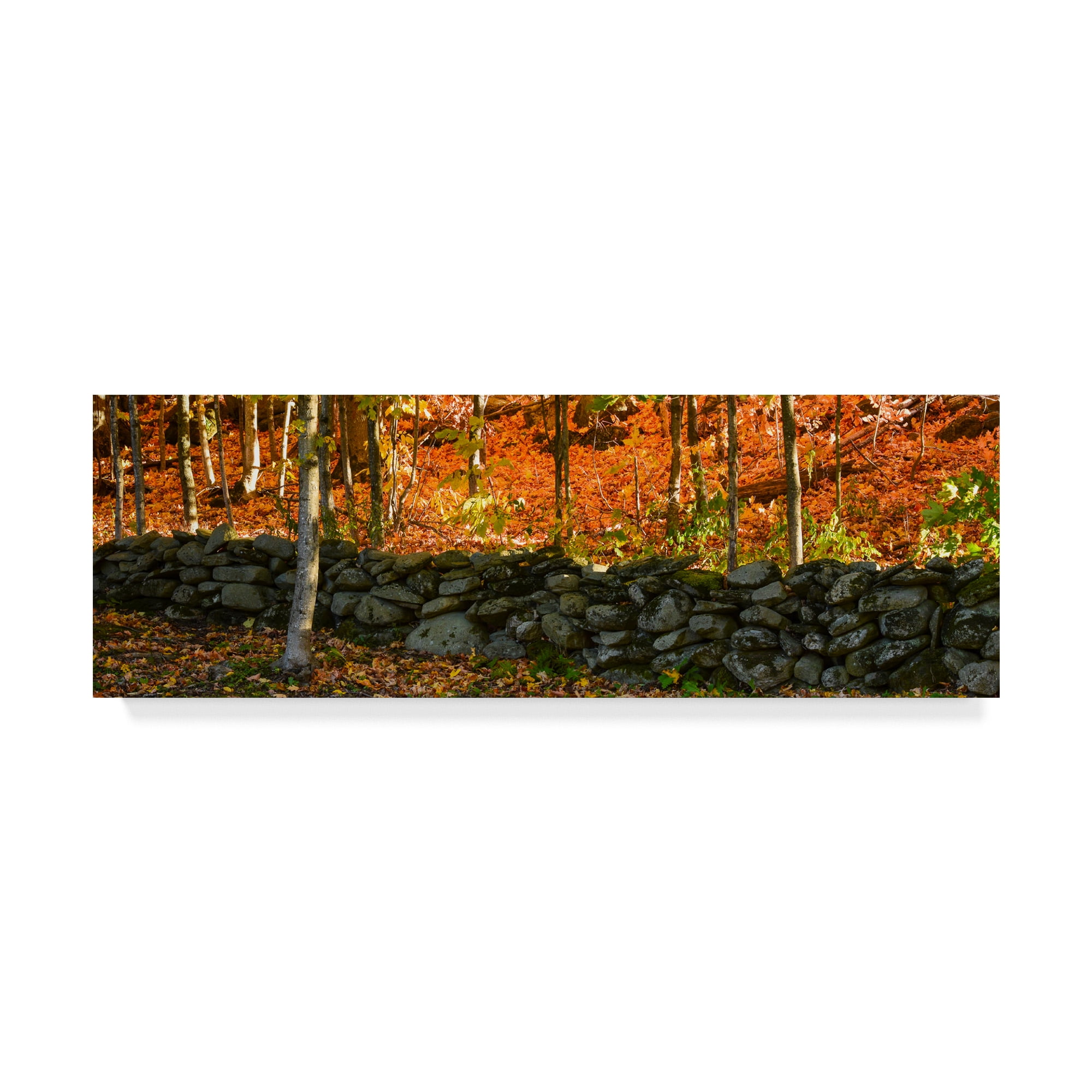 Trademark Fine Art 'Old Rock Wall' Canvas Art by Brenda Petrella