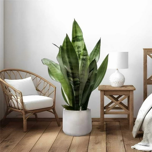 MAYEERTY 4 Pack Ceramic Plant Pots, Planter for Indoor Outdoor Patio, Garden, White Oak