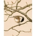 thumbnail image 2 of Léo-Paul Robert 20x24 Black Ornate Framed Double Matted Museum Art Print Titled: Nunnette Chickadee (1880), 2 of 5