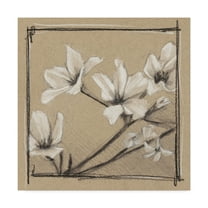 Trademark Fine Art 'White Floral Study I' Canvas Art by Ethan Harper